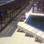 Our Cattery & Koi Pond